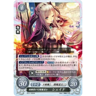 B12-100HN Shade: Veteran Dark Mage